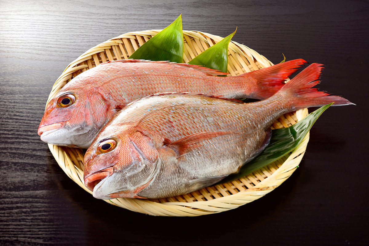In Spring, Sea Bream is the Color of Cherry Blossoms and in Fall, the Color of Autumn Leaves