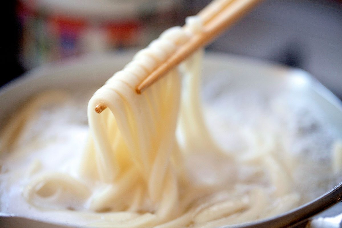 Udon Outside the Box, Including Different Preparation Methods and Regional Styles