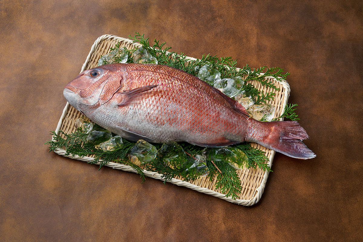Athletes eat Japanese Tai Snapper because it is low in fat and high in protein