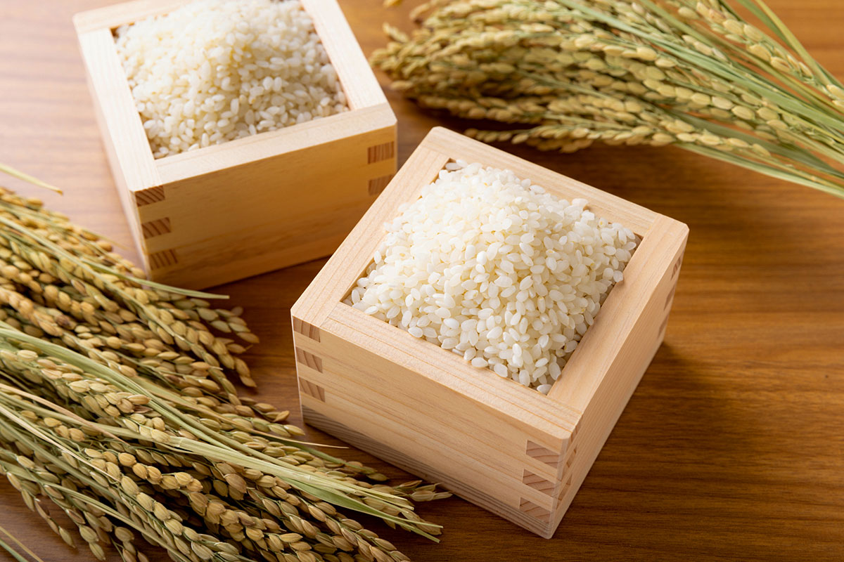 Best in Show: Why Japanese Rice is a World Apart